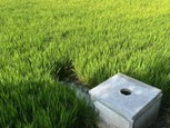南財(cái)學(xué)子暑期三下鄉(xiāng)實(shí)踐活動(dòng)：河暢水清岸綠景美