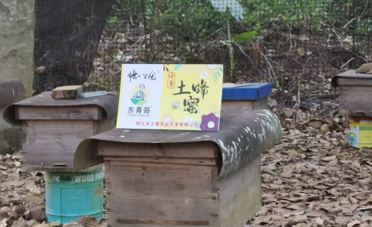 深入鄉(xiāng)村探蜜源，采訪調研促營銷