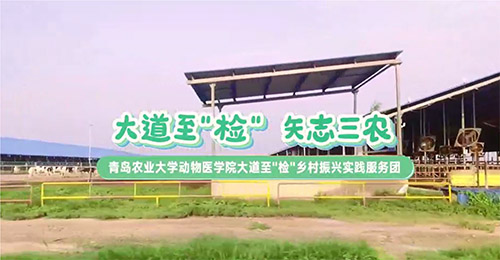 大道至簡，三農(nóng)情牽：青島農(nóng)業(yè)大學(xué)動物醫(yī)學(xué)院鄉(xiāng)村振興實踐服務(wù)團走訪養(yǎng)殖天地