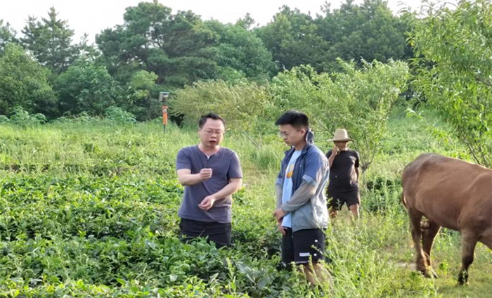 筆耕鄉(xiāng)土察民情，躬身入局謀振興