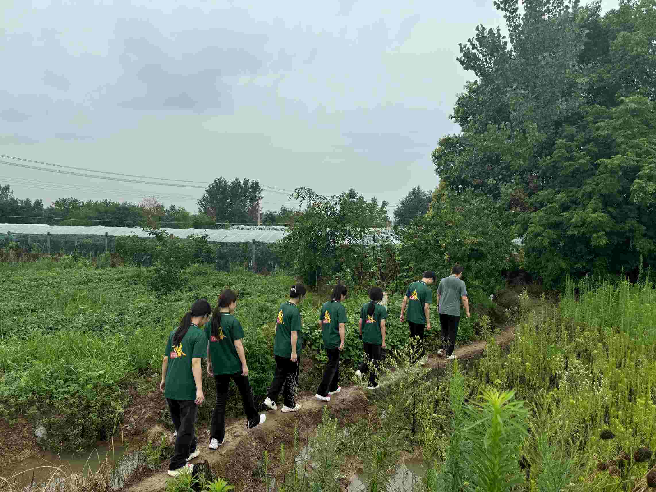 《巢湖學(xué)院：大棚薄膜改革調(diào)研推廣，助力鄉(xiāng)村農(nóng)業(yè)發(fā)展》