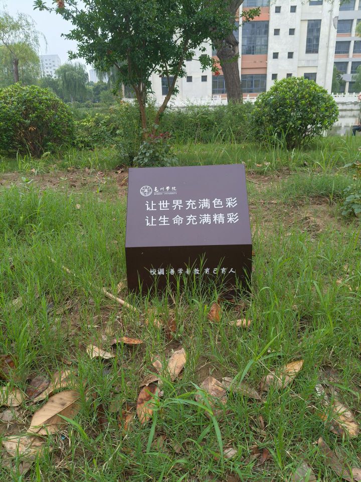 巢湖學(xué)院學(xué)子三下鄉(xiāng)實(shí)踐感悟：走不通的路，就用拳頭來打開