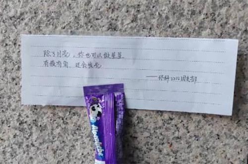 構建幸福校園，彰顯文明之風